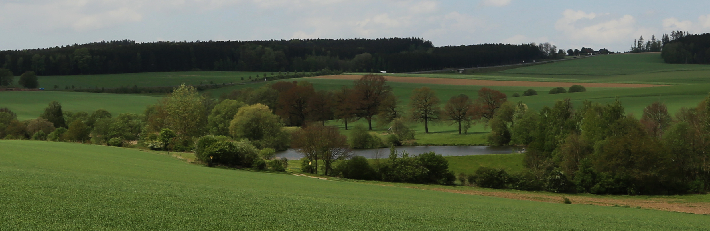 Landschaftsbild mit Teich, Feldern und Bäumen